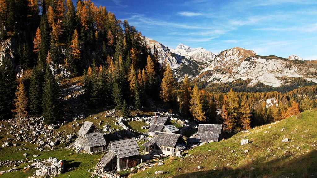 Apartments Bohinjskih 7 Luaran gambar